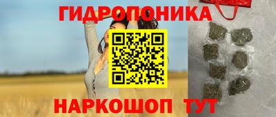 Альфа ПВП Малгобек