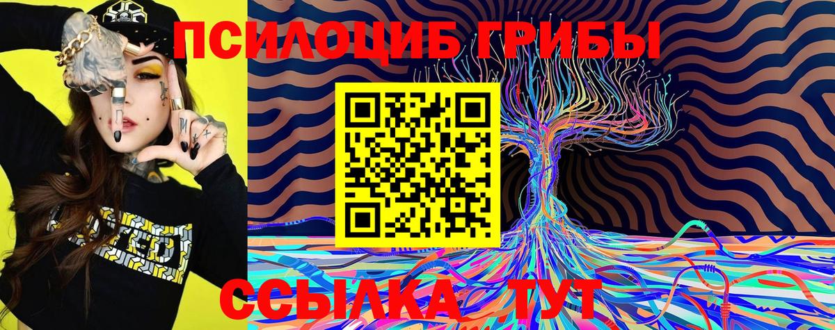 Псилоцибиновые грибы GOLDEN TEACHER Чита