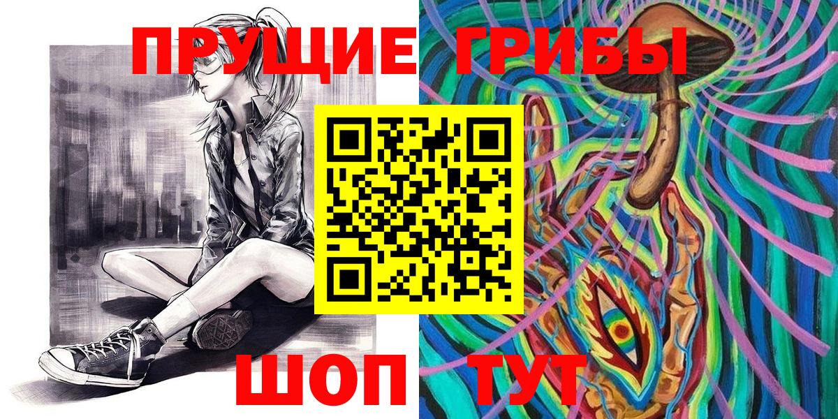 Чита  Галлюциногенные грибы Psilocybine cubensis  Вход с VPN  Галлюциногенные грибы мицелий 